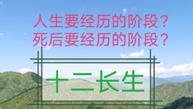 周易 零基础入门视频教程初学者易经38G 六爻预测学教学测算