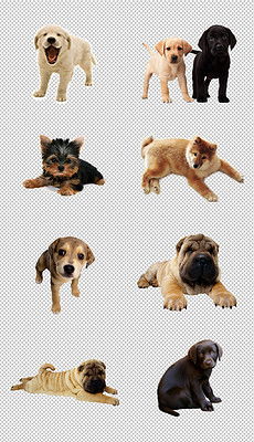 可爱小狗表情模板 可爱小狗表情格模板下载 我图网 