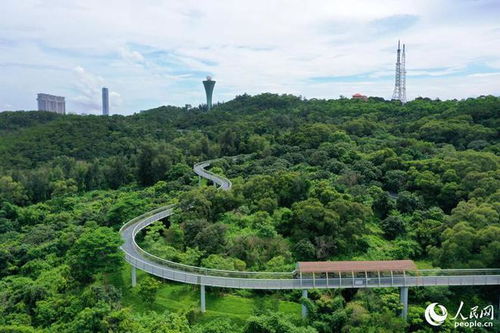 厦门山海健康步道狐尾山入口在哪里停车位 交通(厦门枋湖免费停车场在哪里)