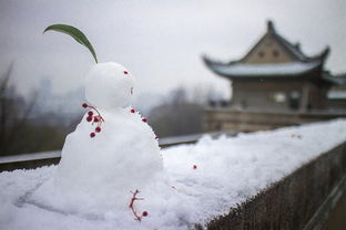 初雪朋友圈文案