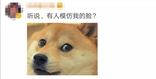 狗头表情昵称怎么弄好看？微信发狗头什么意思(狗头表情 微信)