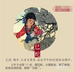 怎么区别十二生肖的排序