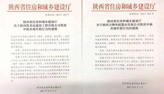 企业申报资质弄虚作假被通报 资质证书作废 一年内不得申报 出了什么事