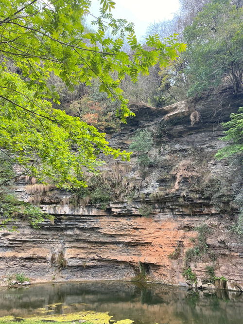 推荐 夏天打开方式,玩水徒步捞虾野餐 