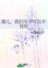 落儿,我们可不可以不忧伤 落小听 