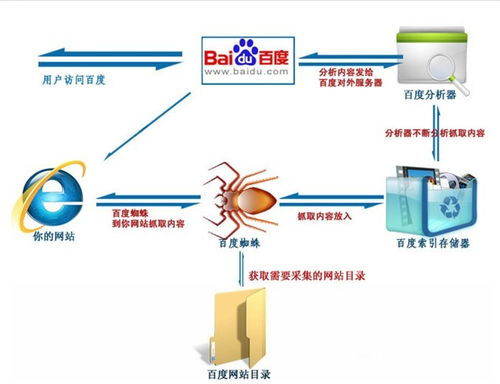 SEO基础入门之搜索引擎工作原理