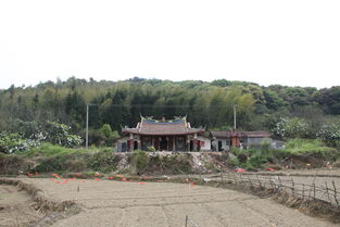 福建莆田涵江大洋乡天气预报