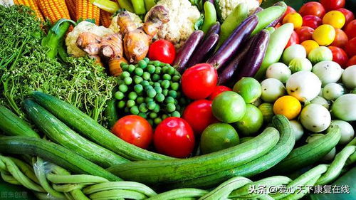 刚从菜地里采摘上市 鲜嫩油绿的蔬菜最好 蔬菜不一定越新鲜越好