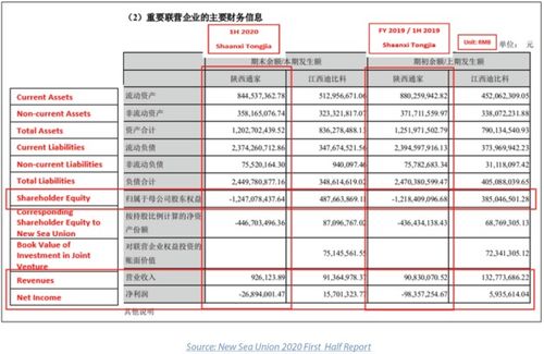 SPI旗下的阳光动力是干什么的？