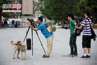 戒不掉的旅行怪癖 爱拍别人拍照 