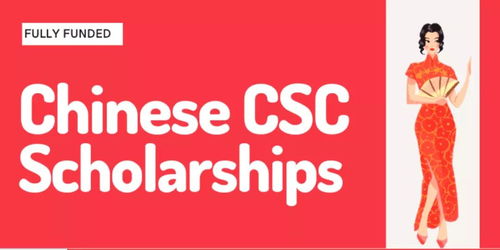 csc奖学金 csc指的是什么