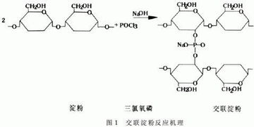 什么是细胞液