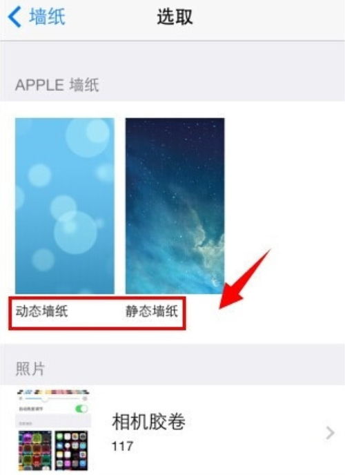 苹果手机壁纸尺寸是多少 如何设置iPhone手机壁纸