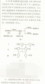 有关于血型计算 