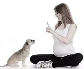 孕妇能养狗吗,孕妇能养狗吗?对孩子怎么样