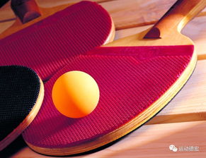 50 体育项目 乒乓球 