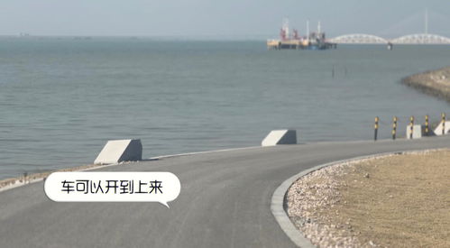 珠海长隆如何免费停车(珠海看海免费停车场在哪里)