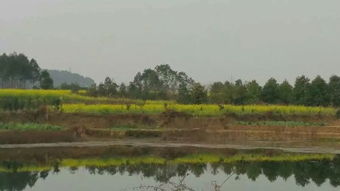 问风水先生我家宅基地门前有个大鱼塘.右边是大马路.左边是农田,这个宅基地可以吗 