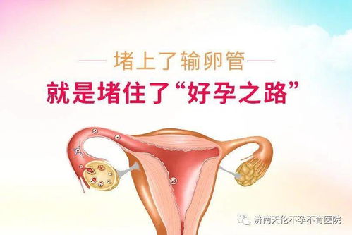 为什么输卵管会堵塞？可以试管助孕吗?