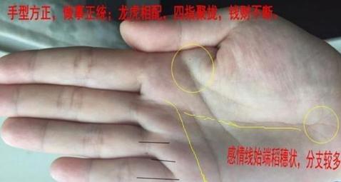 女性注定事业成功,不富则贵的手相特征 注定是有福之人