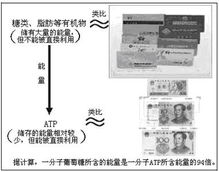 也谈直观教学