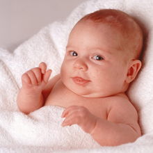 2008年12月出生宝宝运程提示