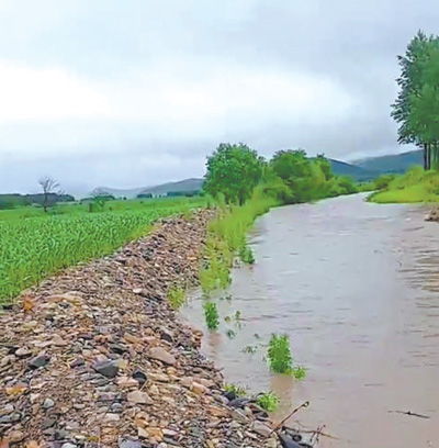 尽早加固河堤 雨季免淹农田 身边事 