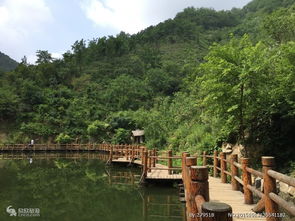 济南南部山区哪里最好玩(济南南部山区4a旅游景点排行榜)