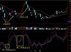 为什么很多股票的发行价要这么高，发行后连连破发行价，这是骗钱行为吗~