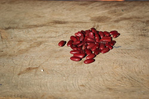 红豆代表什么象征意义,红豆的寓意和象征？