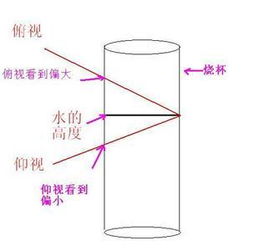 一个高中物质量浓度的大小比较（求过程）