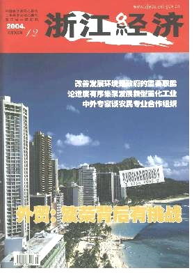 浙江经济杂志 2004年12期 