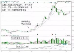 sT股票价格最多能涨到几块