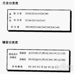 怎样零基础学英语