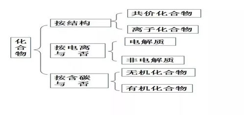 抽检专家查重必备知识：了解查重原理与流程