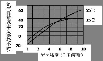 光照很强和光照较弱时，同一叶片的c3含量在稳定后有何不同？为什么？c5呢？