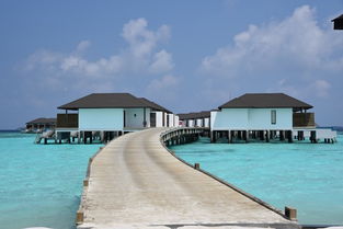 马尔代夫鲁滨逊努努岛攻略探索海岛秘境的最佳指南（马尔代夫鲁滨逊岛）