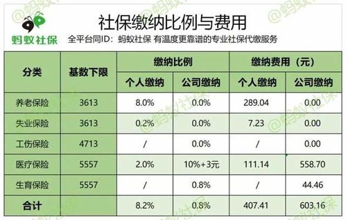 社保缴纳问题，如下，越详细越好