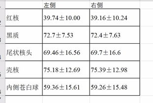 国内的论文查重软件