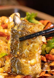 探炉美味不停 12种口味烤鱼,按星座开吃,就在新福港