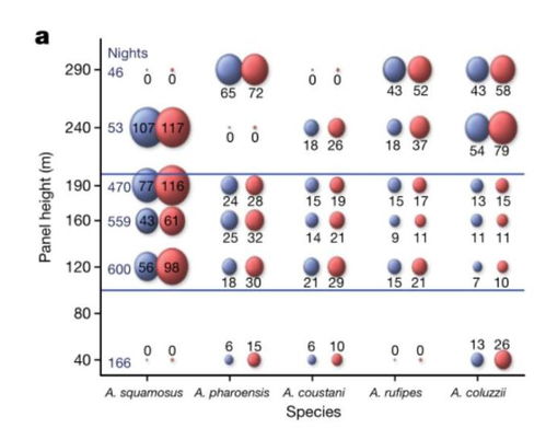 涨知识 蚊子可以飞多高 科学家在两百多米的高空捉到蚊子