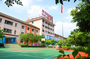 新华电脑学校地址在哪里(重庆新华电脑学校学费)