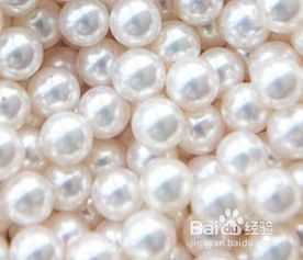 珍珠都有哪些种类
