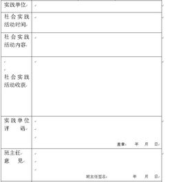 社会实践表格怎么填(社会实践表格填写示范高中生)