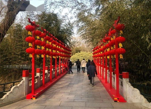 春节假期去哪逛 下周预约 北京这10家市属公园春节免费开放