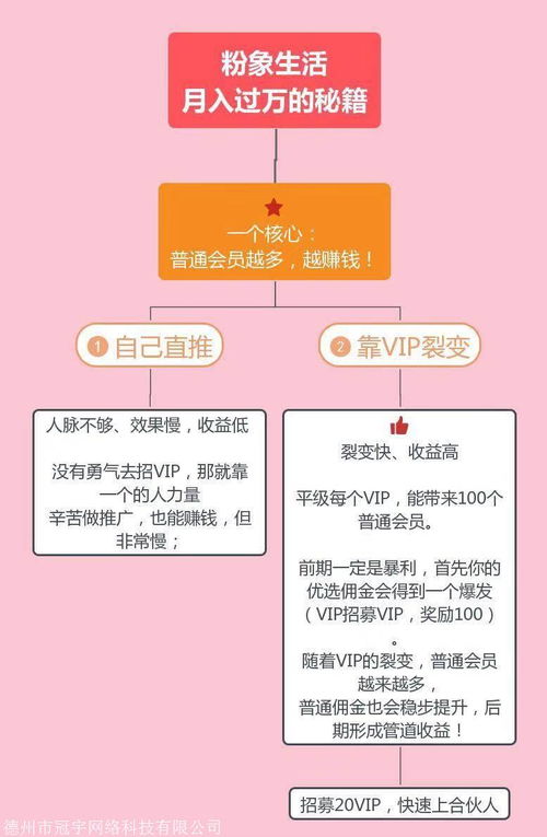 粉象生活和其他同类的平台有什么优势？