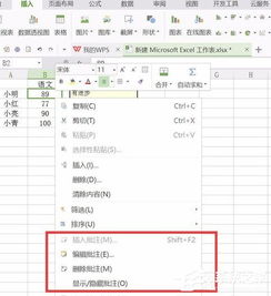 wps 表格 批注怎么设置？wps表格批注怎么设置