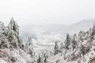 桂林冬天冷吗 
