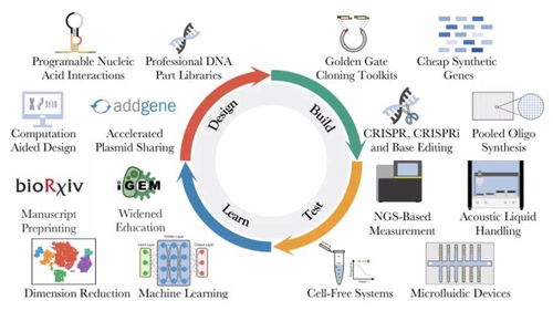 改写生命密码,合成生物学为何能推动 第三次生物科技革命 2020盘点