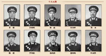 十大元帅中都有谁参加了南昌起义 林彪参加南昌起义了吗